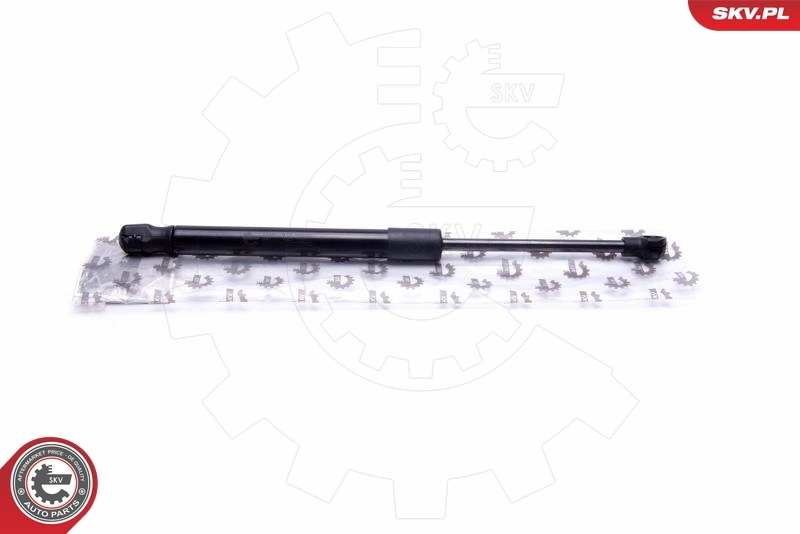 Gas Spring, boot/cargo area